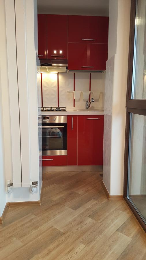 Grand View Apartment 布拉索夫 外观 照片